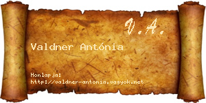 Valdner Antónia névjegykártya