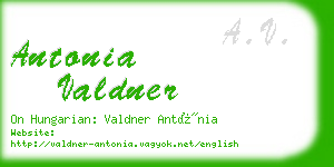 antonia valdner business card